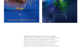 Delegation of the European Commission in Egypt